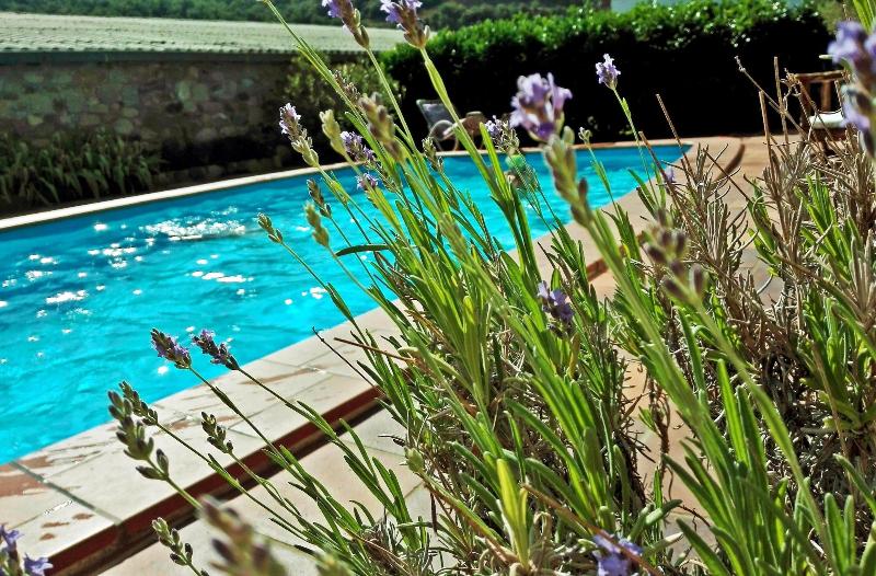 Imagen de alojamiento Chalet Rec Dels Noguers Imagen de alojamiento Chalet Rec Dels Noguers