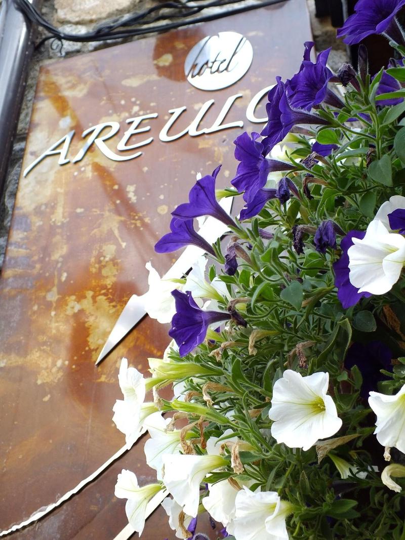 Imagen de alojamiento Hotel Areulo Imagen de alojamiento Hotel Areulo