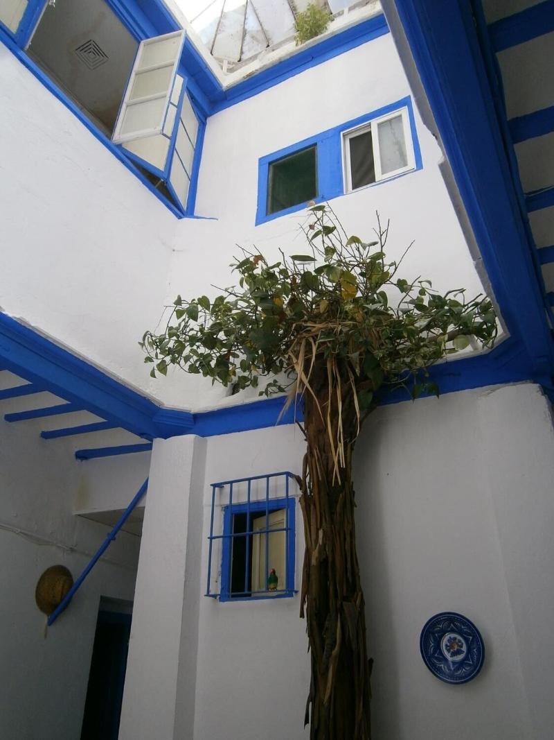 Imagen de alojamiento De Cádiz Cadi Hostel Imagen de alojamiento De Cádiz Cadi Hostel