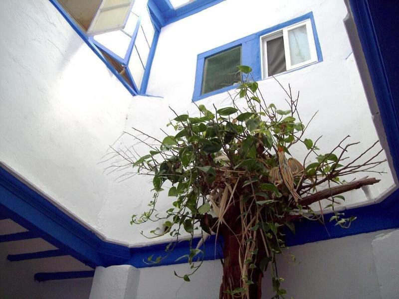 Imagen de alojamiento De Cádiz Cadi Hostel Imagen de alojamiento De Cádiz Cadi Hostel