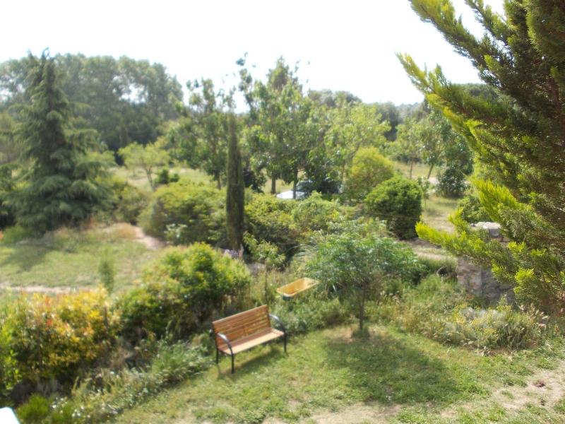 Imagen de alojamiento Maset De Les Talaveres Imagen de alojamiento Maset De Les Talaveres