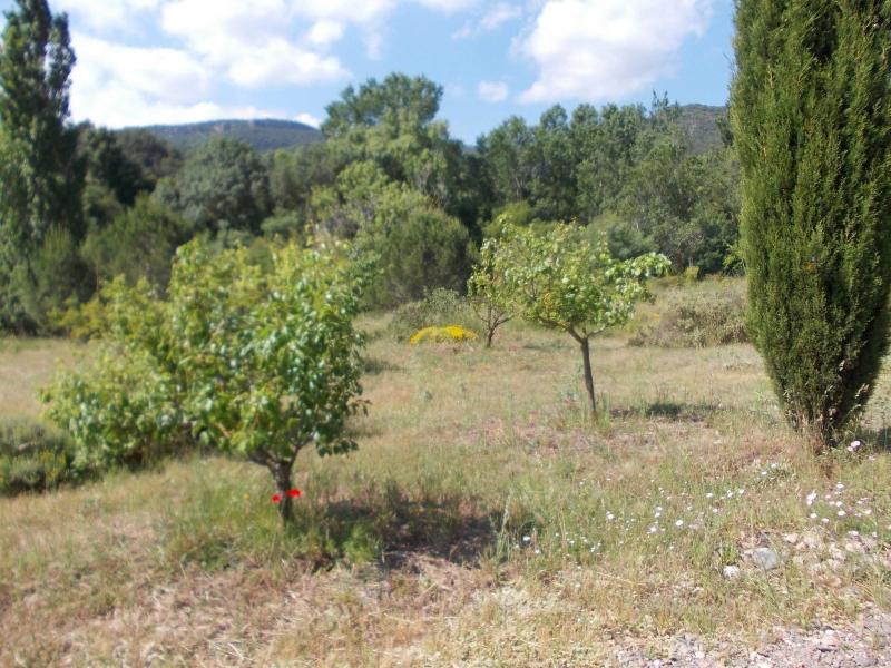 Imagen de alojamiento Maset De Les Talaveres Imagen de alojamiento Maset De Les Talaveres