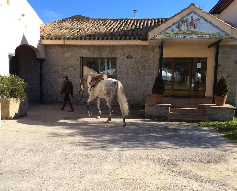 Imagen de alojamiento B&B Yeguada la parrilla Imagen de alojamiento B&B Yeguada la parrilla