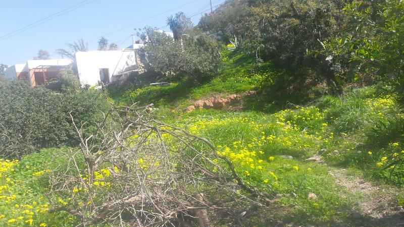 Imagen de alojamiento Cortijo La Fuensanta Imagen de alojamiento Cortijo La Fuensanta