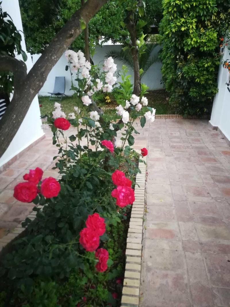 Imagen de alojamiento Hostal Frasquita Imagen de alojamiento Hostal Frasquita