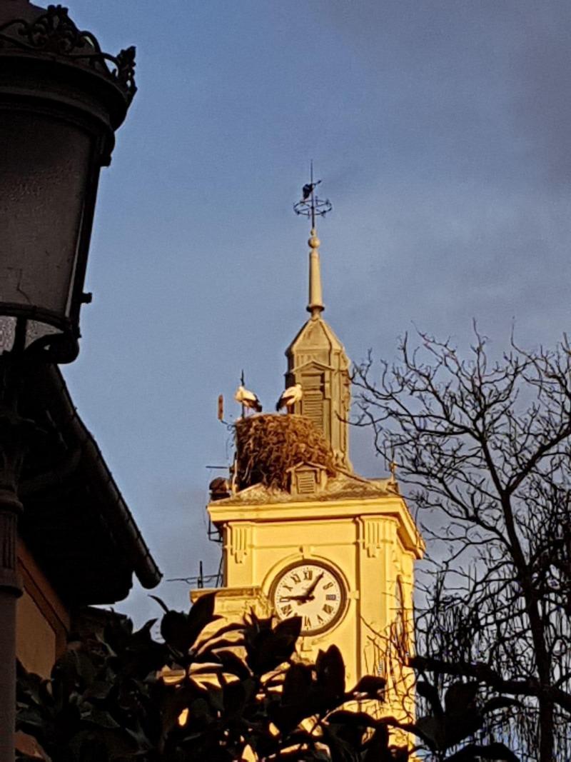Imagen de alojamiento El Sueño del Quijote Imagen de alojamiento El Sueño del Quijote
