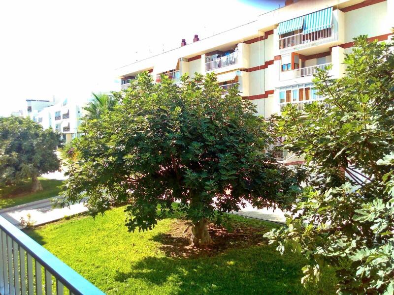 Imagen de alojamiento Wonder Rooms Nerja Guest House Imagen de alojamiento Wonder Rooms Nerja Guest House