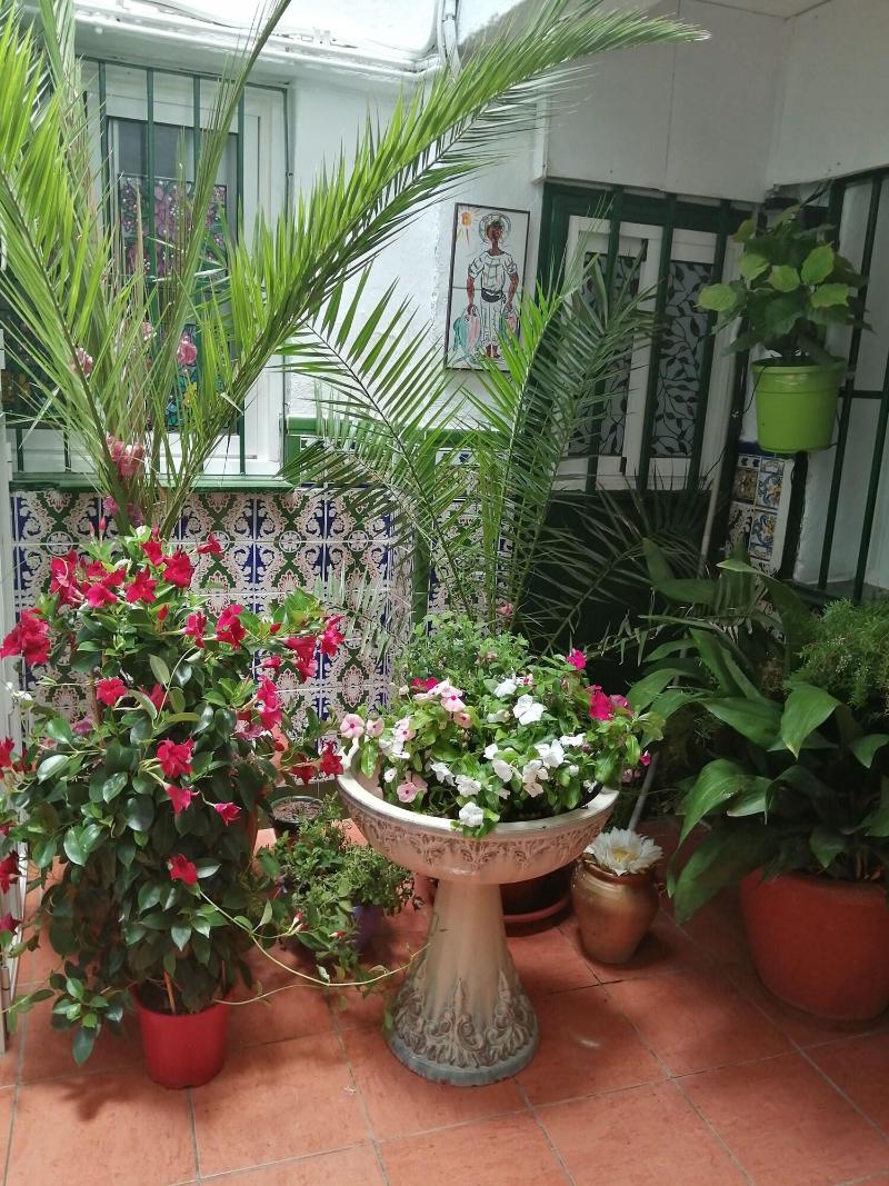 Imagen de alojamiento H Juan Vivienda Turística Imagen de alojamiento H Juan Vivienda Turística