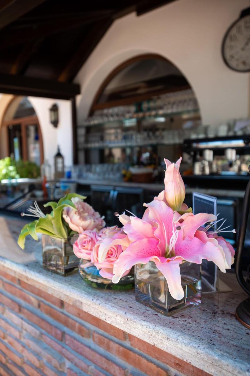 Imagen de alojamiento Paloma Blanca Boutique Hotel Imagen de alojamiento Paloma Blanca Boutique Hotel