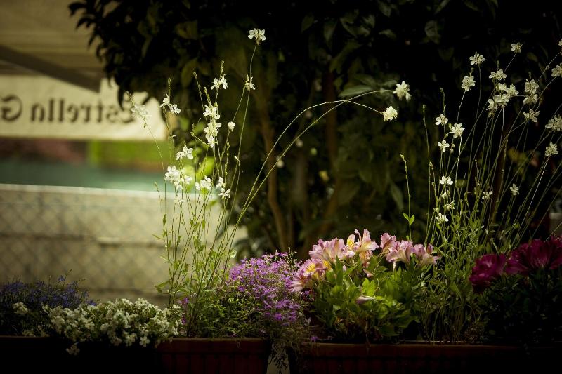 Imagen de alojamiento Hotel Arce Baiona Imagen de alojamiento Hotel Arce Baiona