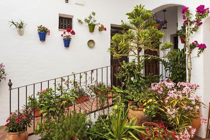 Imagen de alojamiento La Jabega By Conil Home Imagen de alojamiento La Jabega By Conil Home