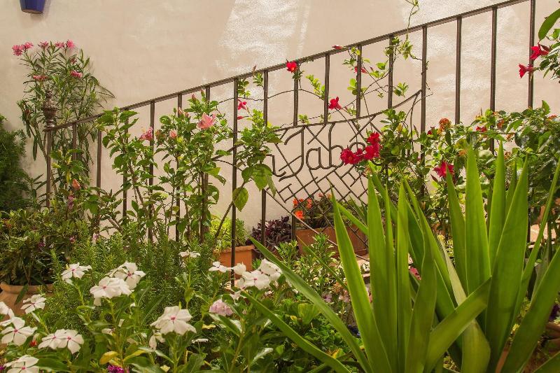 Imagen de alojamiento La Jabega By Conil Home Imagen de alojamiento La Jabega By Conil Home