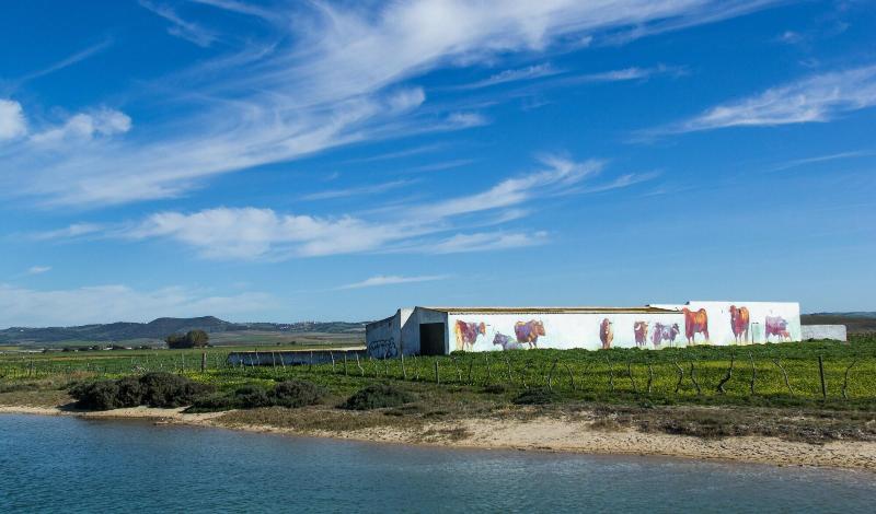 Imagen de alojamiento La Jabega By Conil Home Imagen de alojamiento La Jabega By Conil Home