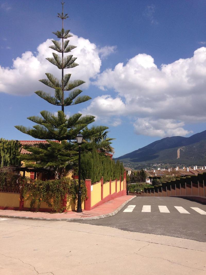 Imagen de alojamiento Palms And Lights Imagen de alojamiento Palms And Lights