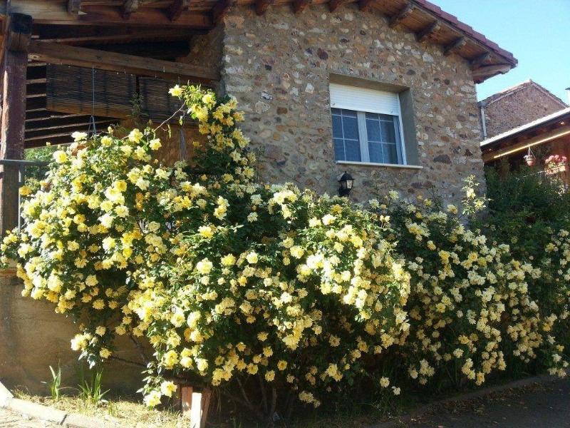 Imagen de alojamiento El Rincón De La Rosa 1 Imagen de alojamiento El Rincón De La Rosa 1