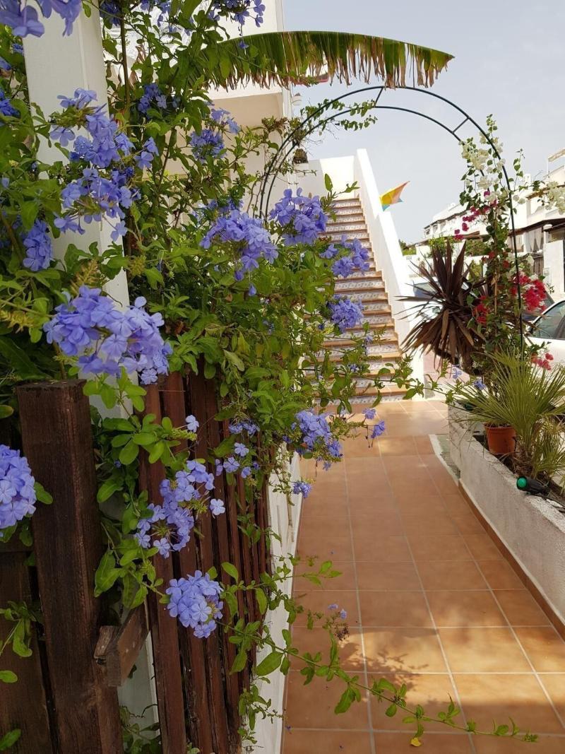 Imagen de alojamiento Hostal El Palmeral Imagen de alojamiento Hostal El Palmeral