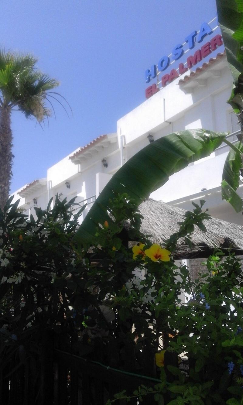 Imagen de alojamiento Hostal El Palmeral Imagen de alojamiento Hostal El Palmeral