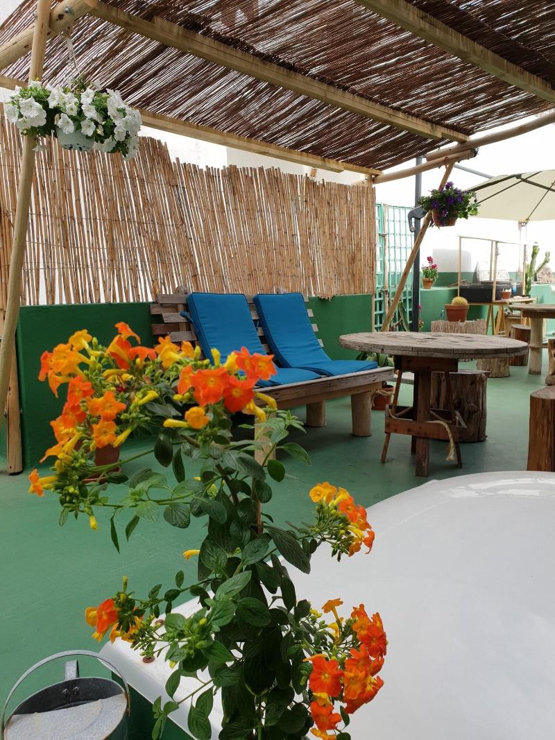 Imagen de alojamiento Cactus Host Imagen de alojamiento Cactus Host