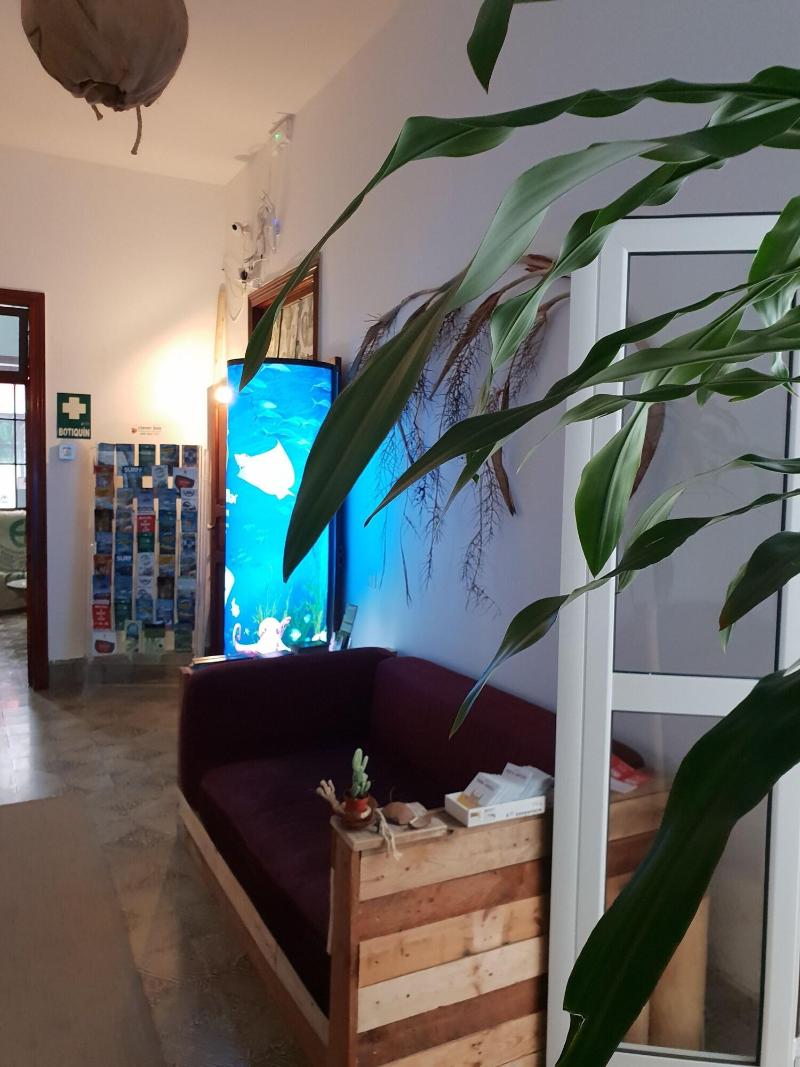 Imagen de alojamiento Cactus Host Imagen de alojamiento Cactus Host