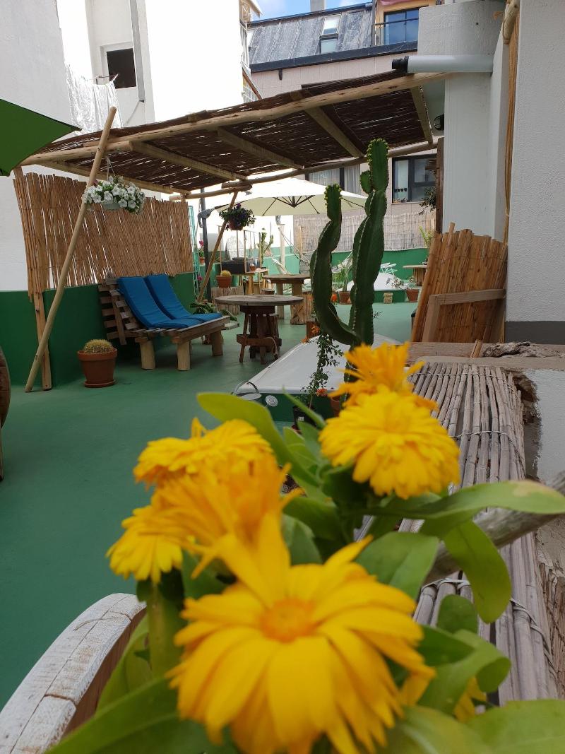 Imagen de alojamiento Cactus Host Imagen de alojamiento Cactus Host