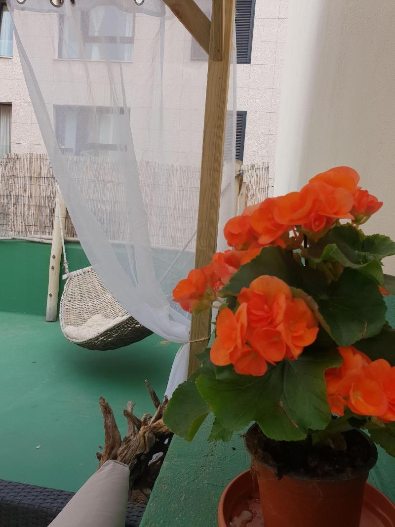 Imagen de alojamiento Cactus Host Imagen de alojamiento Cactus Host