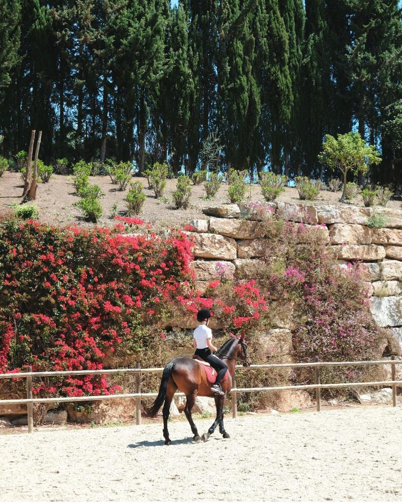 Imagen de alojamiento Marbella Club Hotel Golf Resort & Spa Imagen de alojamiento Marbella Club Hotel Golf Resort & Spa