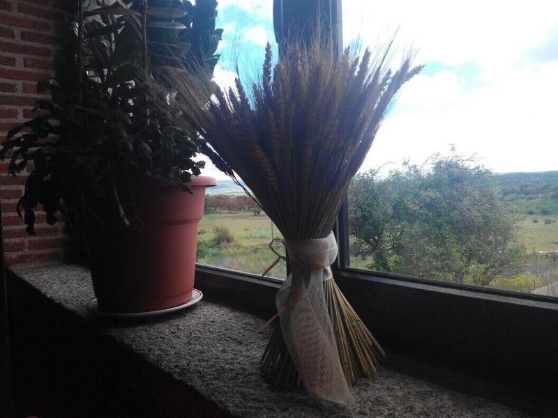 Imagen de alojamiento Hostal La Colmena Imagen de alojamiento Hostal La Colmena