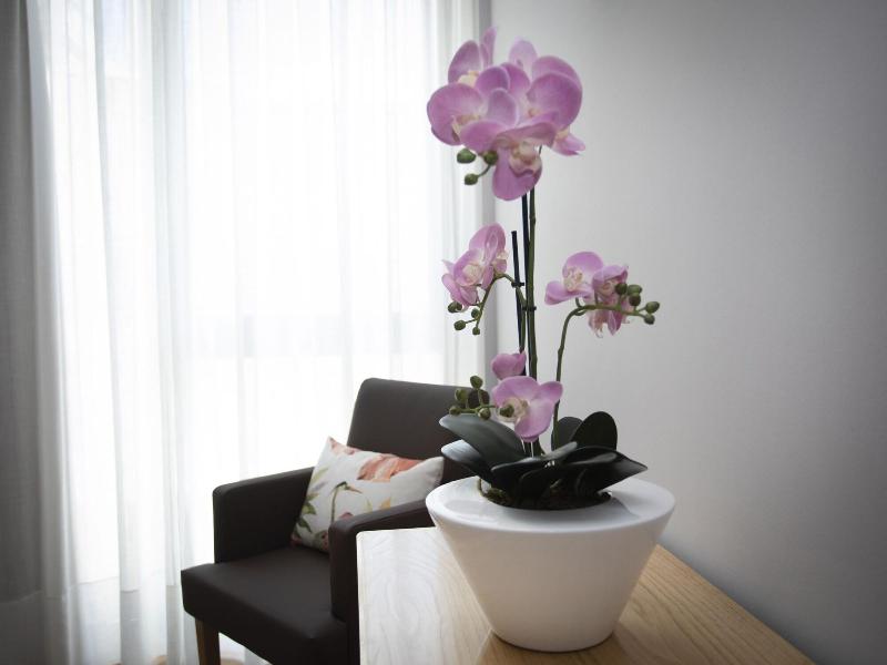 Imagen de alojamiento Hotel Novoa Imagen de alojamiento Hotel Novoa