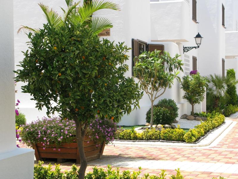 Imagen de alojamiento Mar De Pulpi Apartments - Marholidays Imagen de alojamiento Mar De Pulpi Apartments - Marholidays
