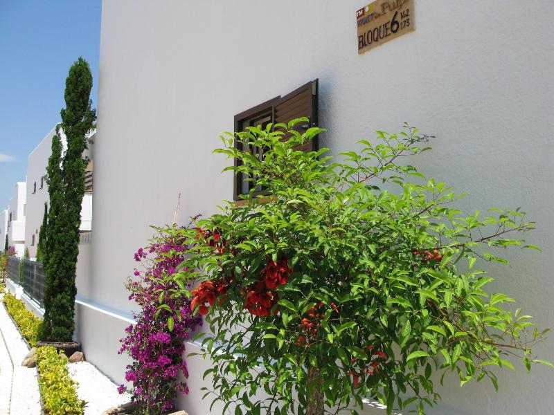 Imagen de alojamiento Mar De Pulpi Apartments - Marholidays Imagen de alojamiento Mar De Pulpi Apartments - Marholidays