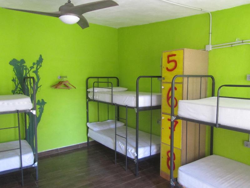 Imagen de alojamiento Hakuna Matata Hostel Imagen de alojamiento Hakuna Matata Hostel