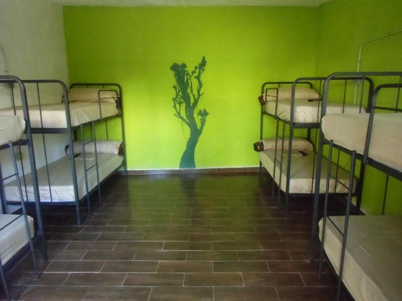 Imagen de alojamiento Hakuna Matata Hostel Imagen de alojamiento Hakuna Matata Hostel