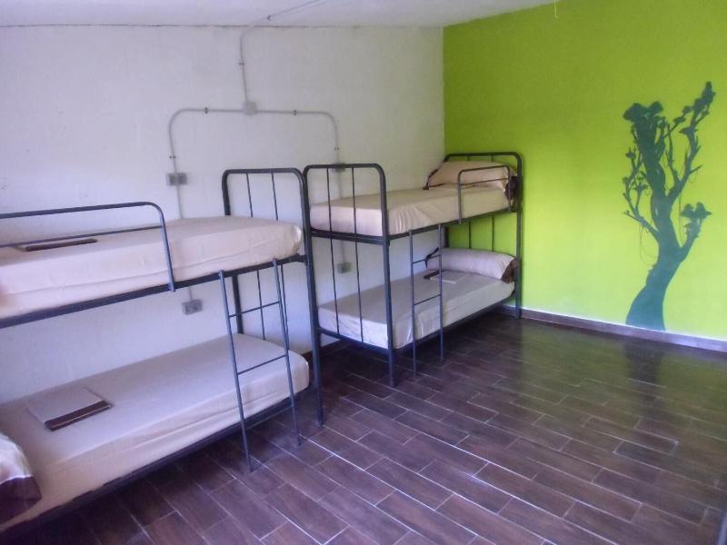 Imagen de alojamiento Hakuna Matata Hostel Imagen de alojamiento Hakuna Matata Hostel