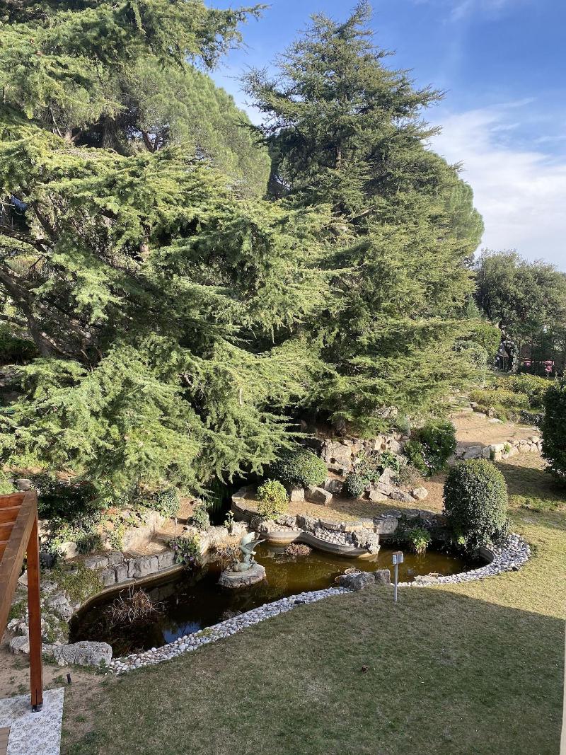 Imagen de alojamiento Hotel Boutique Edelweiss La Garriga - Adults Only Imagen de alojamiento Hotel Boutique Edelweiss La Garriga - Adults Only