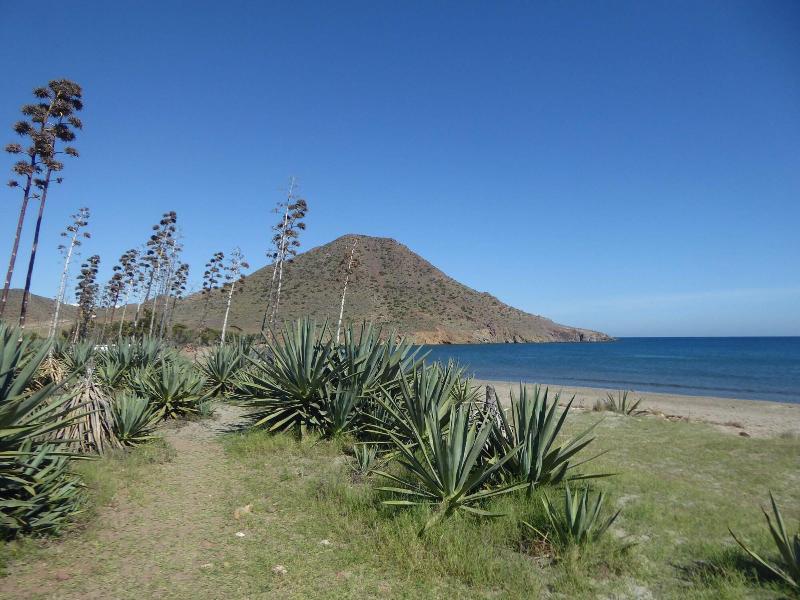 Imagen de alojamiento B&B Cortijo El Sarmiento - Adults Only Imagen de alojamiento B&B Cortijo El Sarmiento - Adults Only