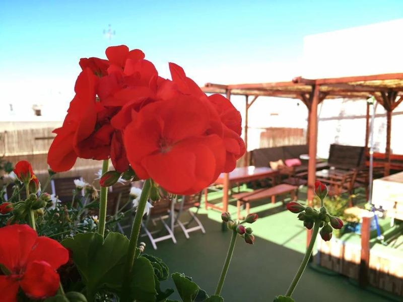 Imagen de alojamiento Summer Hostel Cádiz Imagen de alojamiento Summer Hostel Cádiz