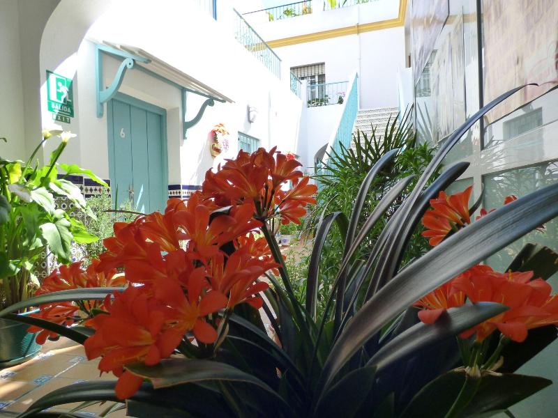 Imagen de alojamiento Hostal Campo Nuevo Imagen de alojamiento Hostal Campo Nuevo