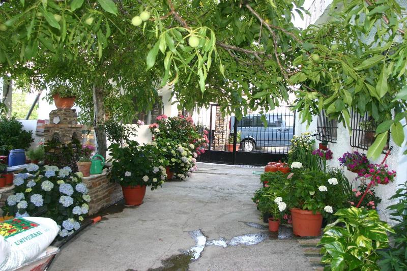 Imagen de alojamiento Hostal Las Terrazas De La Alpujarra Imagen de alojamiento Hostal Las Terrazas De La Alpujarra