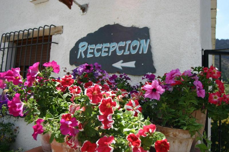 Imagen de alojamiento Hostal Las Terrazas De La Alpujarra Imagen de alojamiento Hostal Las Terrazas De La Alpujarra