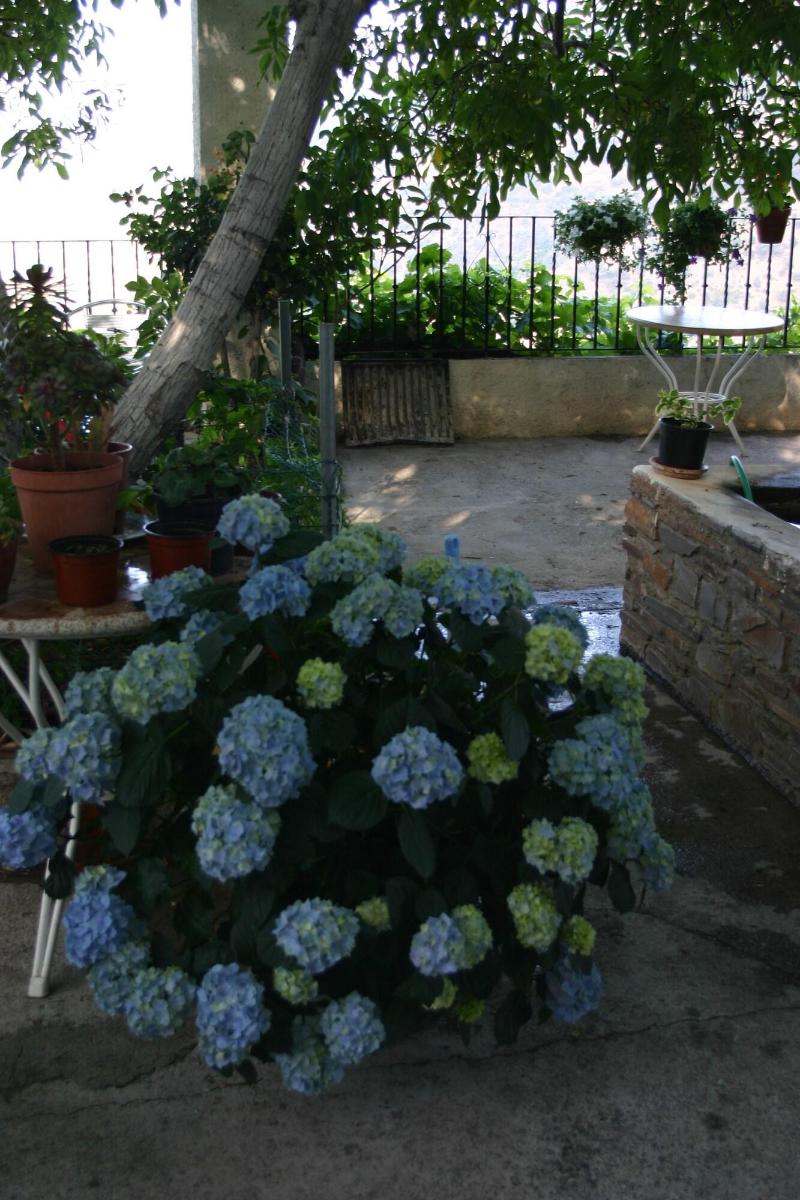 Imagen de alojamiento Hostal Las Terrazas De La Alpujarra Imagen de alojamiento Hostal Las Terrazas De La Alpujarra