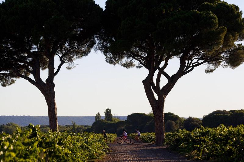 Imagen de alojamiento Abadia Retuerta Ledomaine Imagen de alojamiento Abadia Retuerta Ledomaine