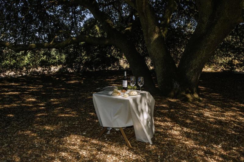 Imagen de alojamiento Abadia Retuerta Ledomaine Imagen de alojamiento Abadia Retuerta Ledomaine