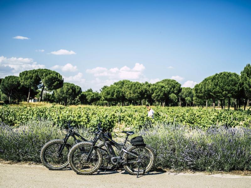 Imagen de alojamiento Abadia Retuerta Ledomaine Imagen de alojamiento Abadia Retuerta Ledomaine