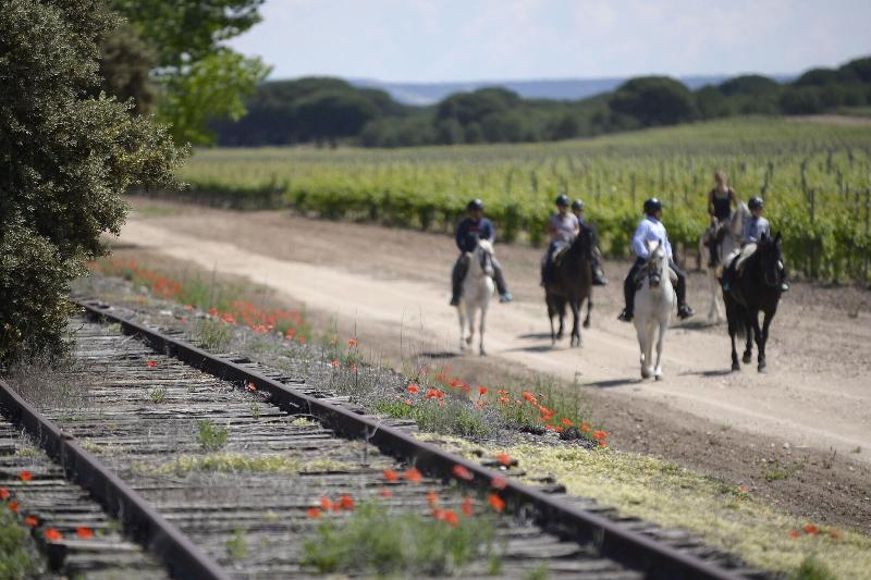 Imagen de alojamiento Abadia Retuerta Ledomaine Imagen de alojamiento Abadia Retuerta Ledomaine