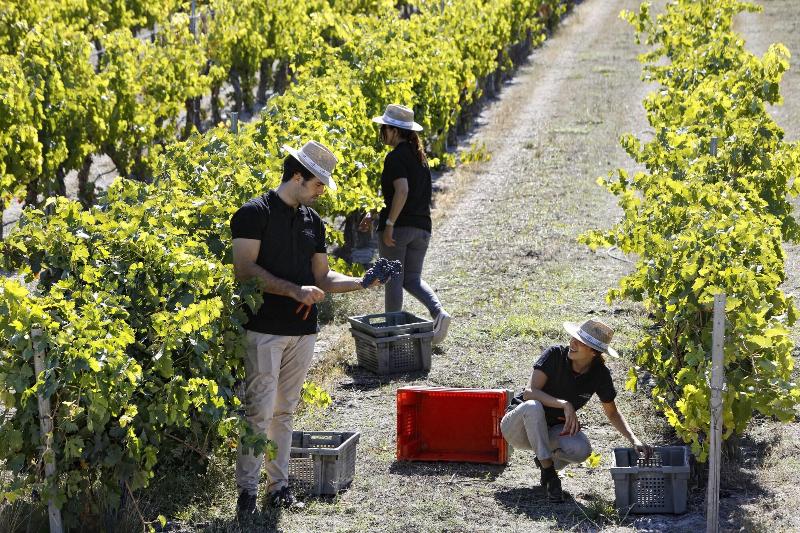 Imagen de alojamiento Abadia Retuerta Ledomaine Imagen de alojamiento Abadia Retuerta Ledomaine