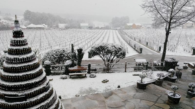 Imagen de alojamiento Hotel Prada a Tope - Palacio de Canedo Imagen de alojamiento Hotel Prada a Tope - Palacio de Canedo