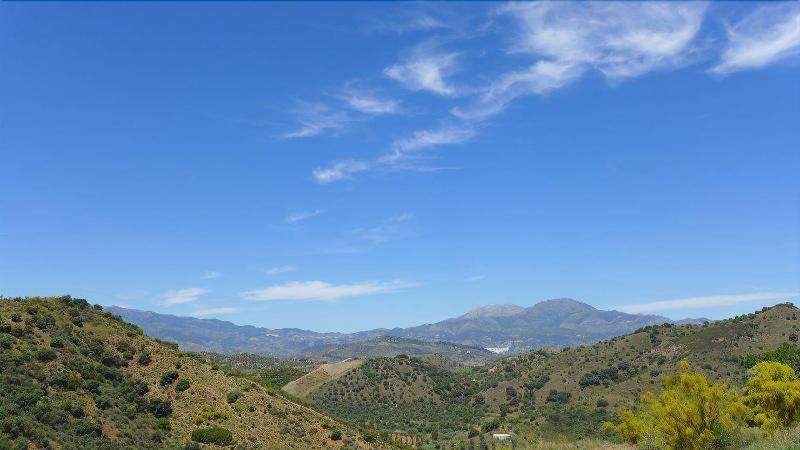 Imagen de alojamiento Corazón Andaluz Guesthouse Imagen de alojamiento Corazón Andaluz Guesthouse