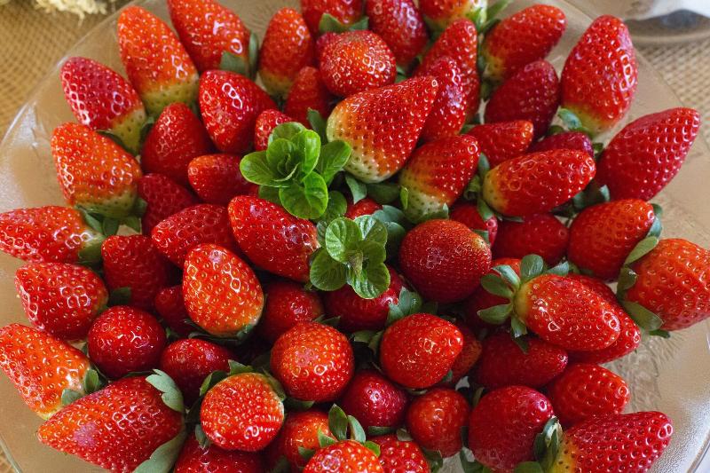 Imagen de alojamiento Agroturisme Son Vives - Adults Only Imagen de alojamiento Agroturisme Son Vives - Adults Only