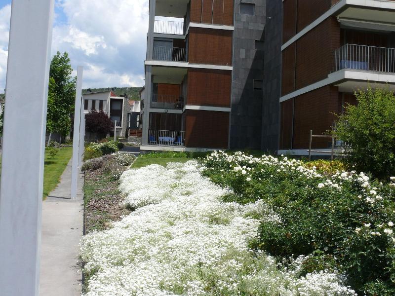 Imagen de alojamiento APARTMENTSUITESPAIN FORMIGAL ORDESA Jardín Imagen de alojamiento APARTMENTSUITESPAIN FORMIGAL ORDESA Jardín