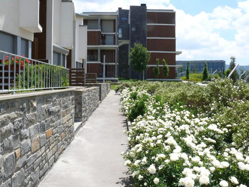 Imagen de alojamiento APARTMENTSUITESPAIN FORMIGAL ORDESA Jardín Imagen de alojamiento APARTMENTSUITESPAIN FORMIGAL ORDESA Jardín